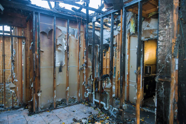 Professional Smoke Damage Restoration technician working in Frederick, MD